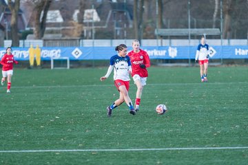 Bild 311 - wBJ Hamburger SV - Holstein Kiel : Ergebnis: 8:0